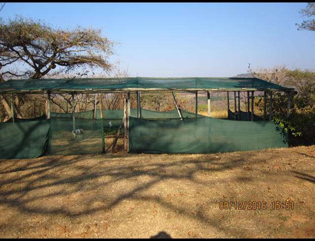 10HA FARM FOR SALE IN NELSPRUIT RURAL